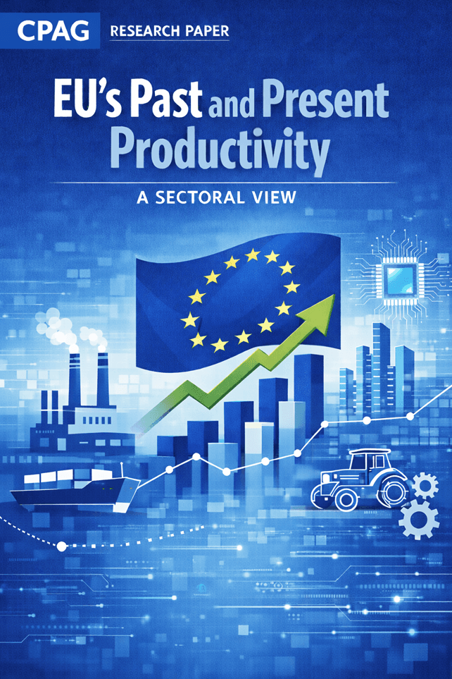 EU Productivity Slowdown: The Whys